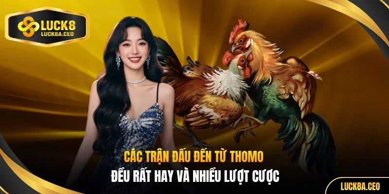 Các trận đấu đến từ Thomo đều rất hay và nhiều lượt cược