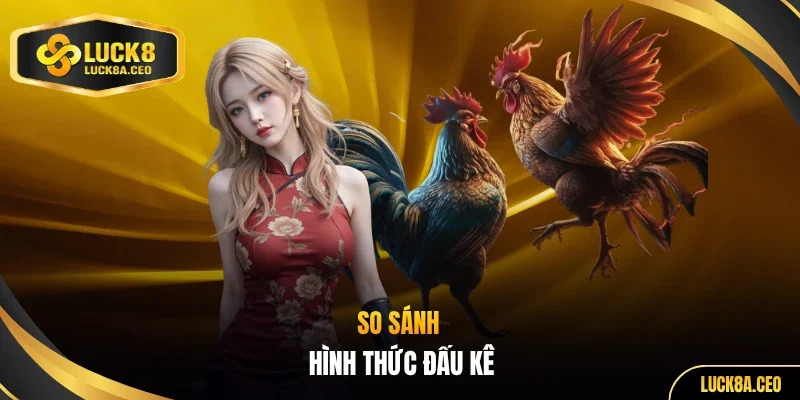 So sánh hình thức đấu kê