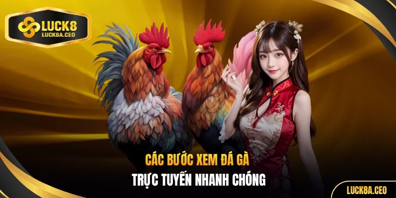 Các bước xem đá gà trực tuyến nhanh chóng
