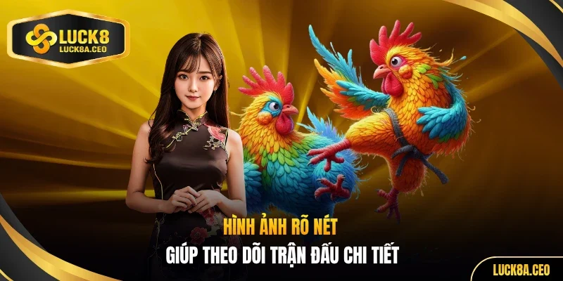 Hình ảnh rõ nét giúp theo dõi trận đấu chi tiết