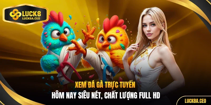 Xem đá gà trực tuyến